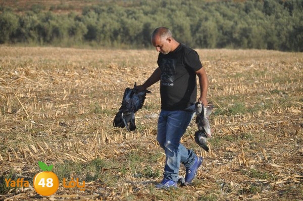 7amam lud monir 908 (56).JPG